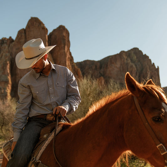 Stetson Blue Deco Geo Print Western Shirt