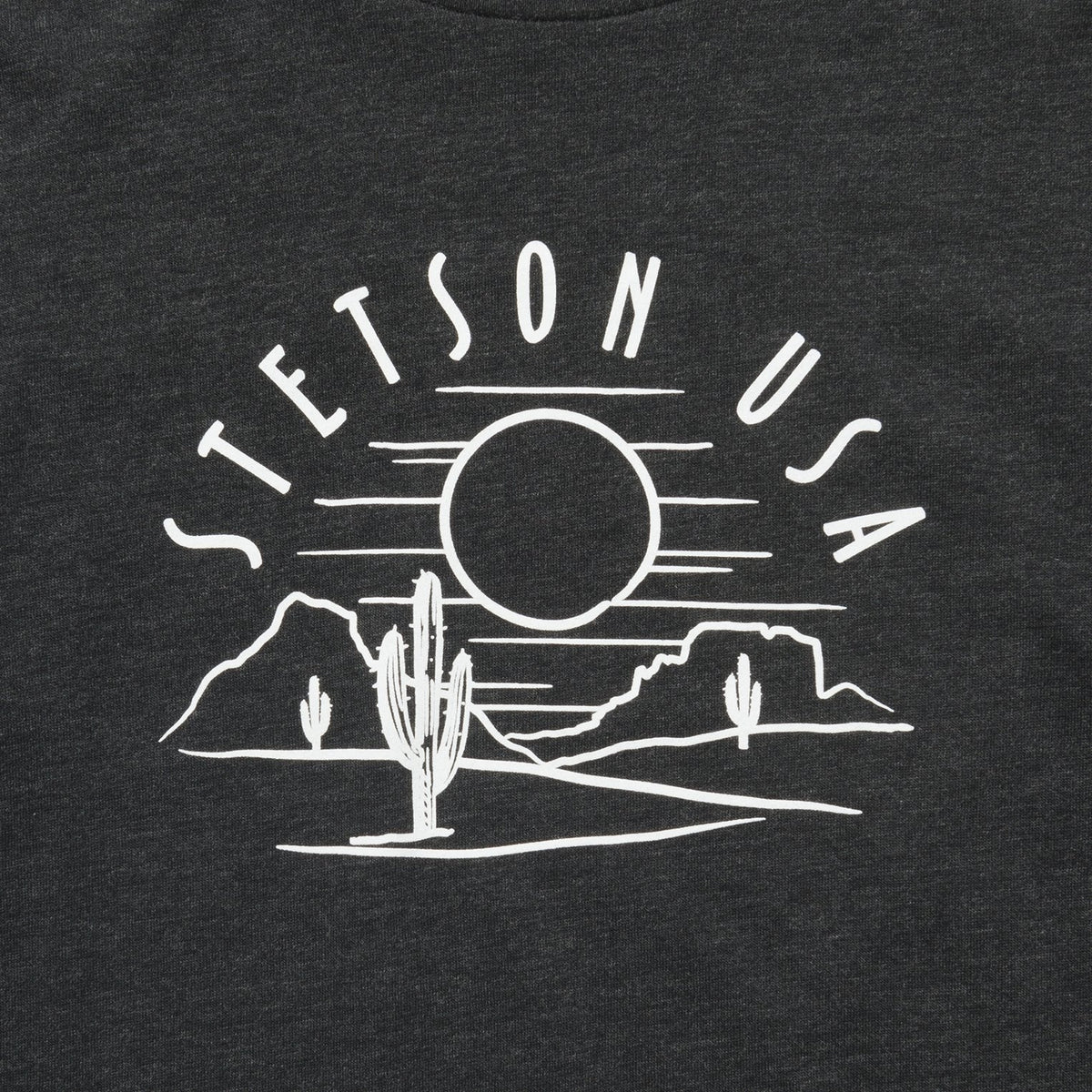 Stetson Cactus And Sunset Graphic Tee