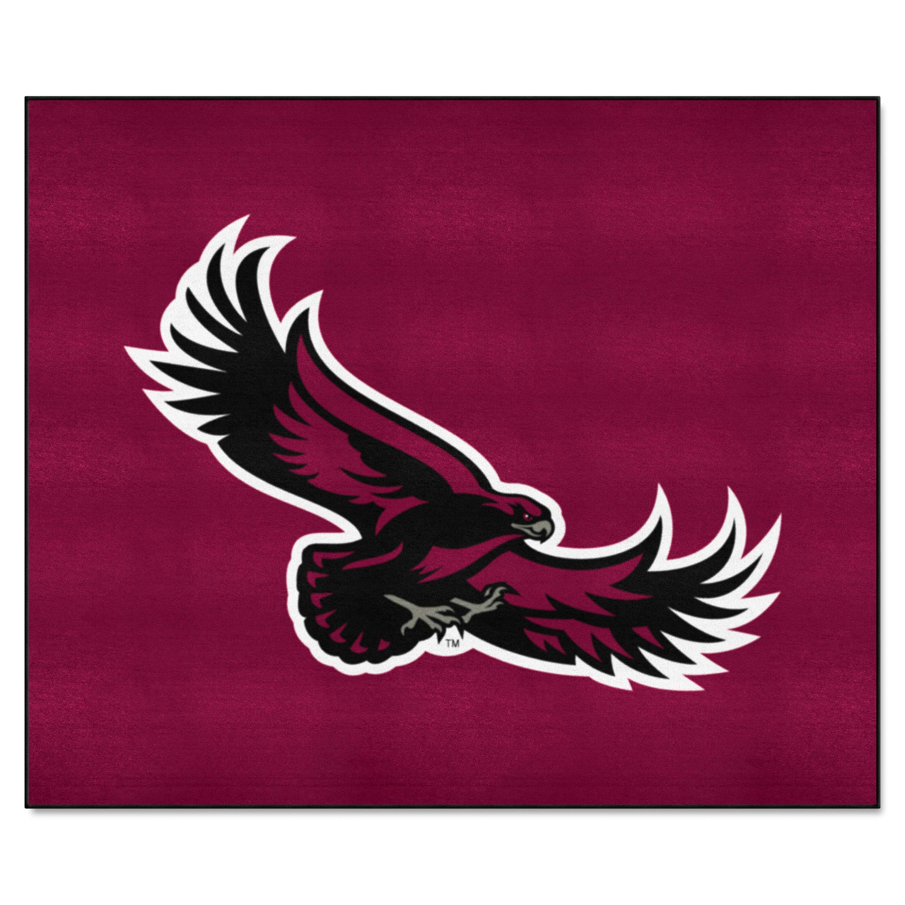 St. Joseph's Red Storm Tailgater Rug - 5ft. x 6ft. - St. Joseph's