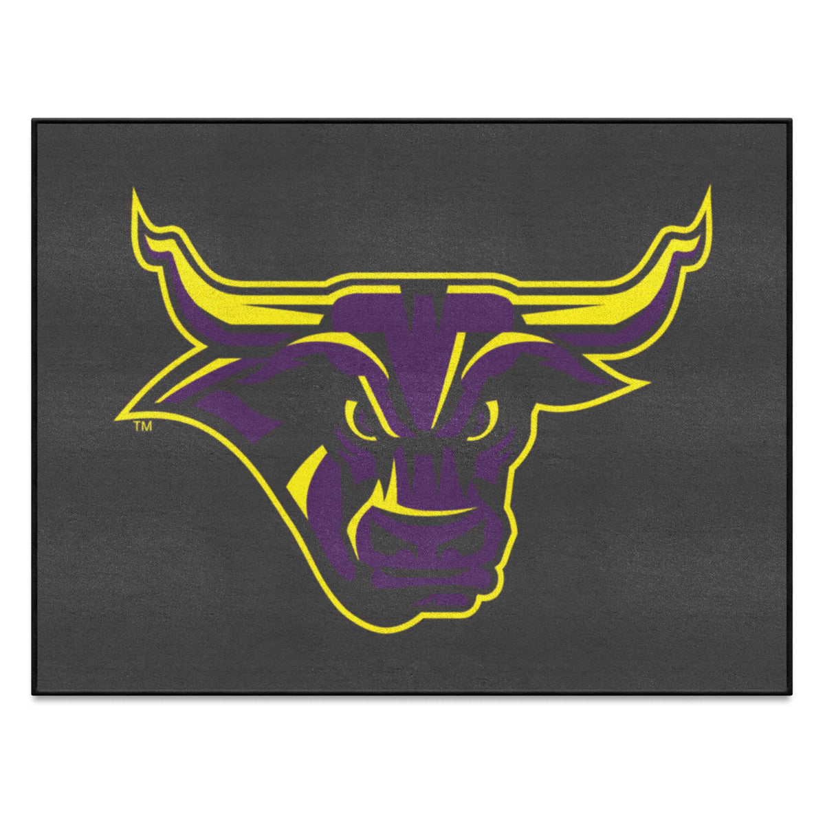 Minnesota State - Mankato Mavericks All-Star Rug - 34 in. x 42.5 in.