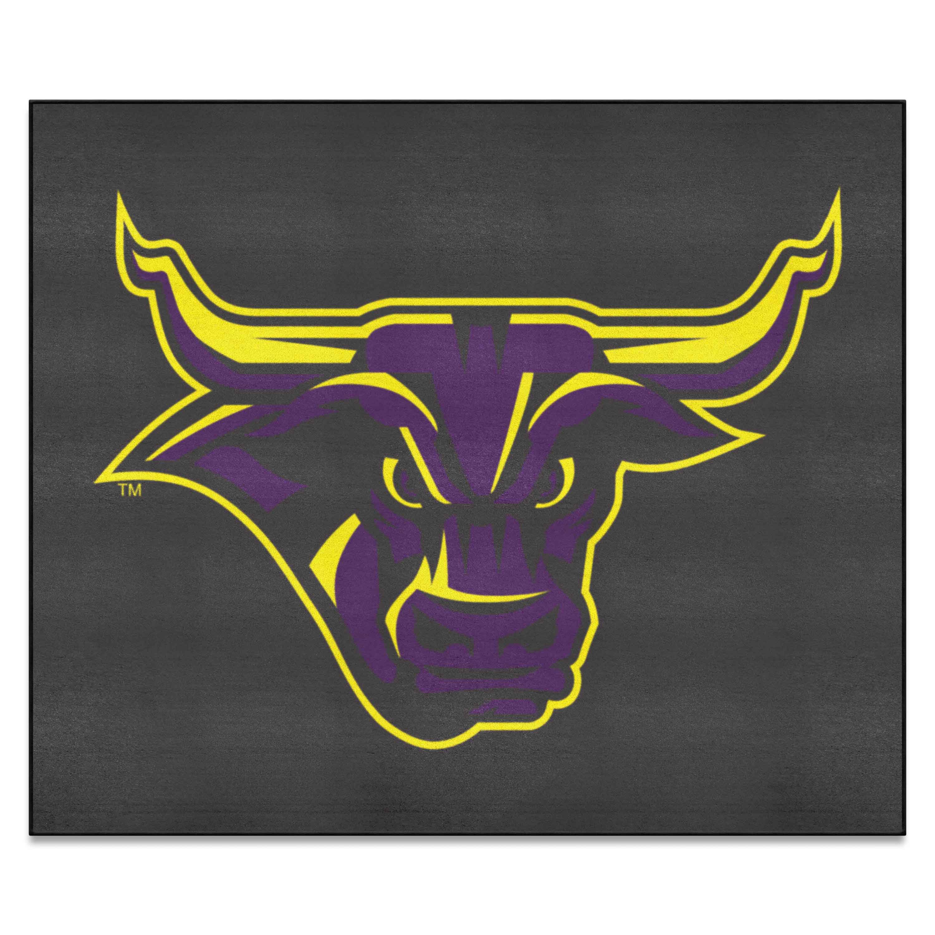 Minnesota State - Mankato Mavericks Tailgater Rug - 5ft. x 6ft.