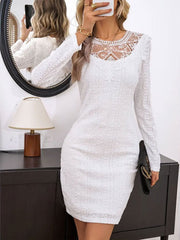 Lace Detail Round Neck Long Sleeve Mini Dress - Trendsi