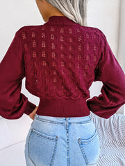 Openwork Mock Neck Long Sleeve Cropped Sweater