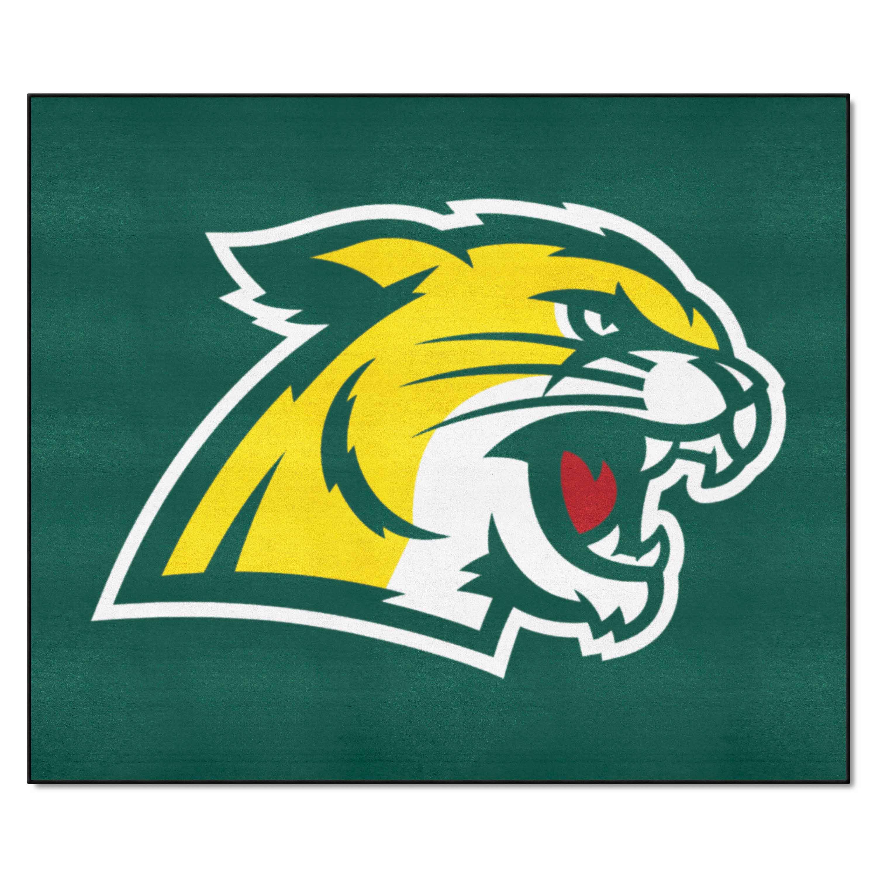 Northern Michigan Wildcats Tailgater Rug - 5ft. x 6ft.