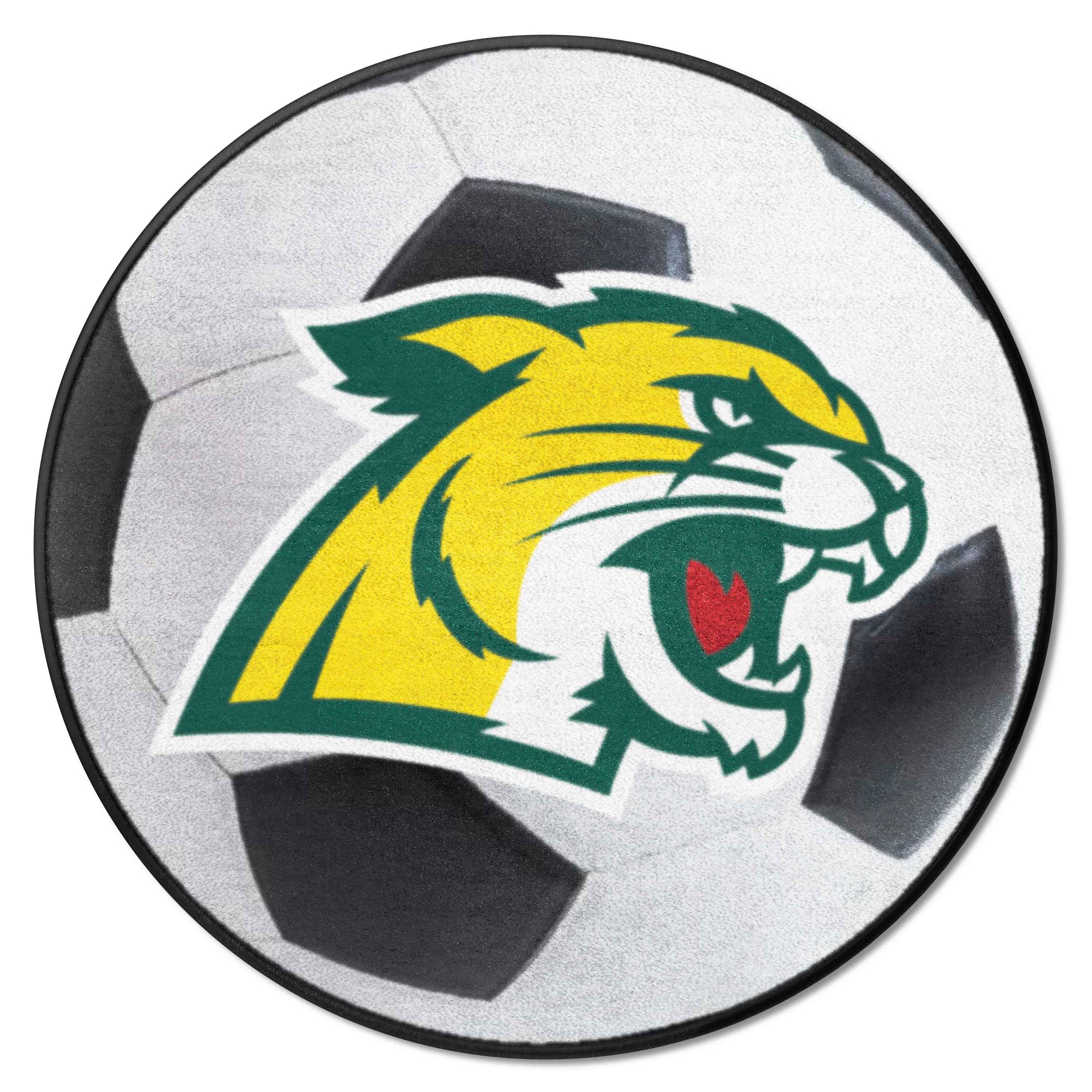 Northern Michigan Wildcats Soccer Ball Rug - 27in. Diameter