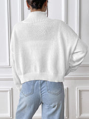 Bow Turtleneck Long Sleeve Sweater - Trendsi