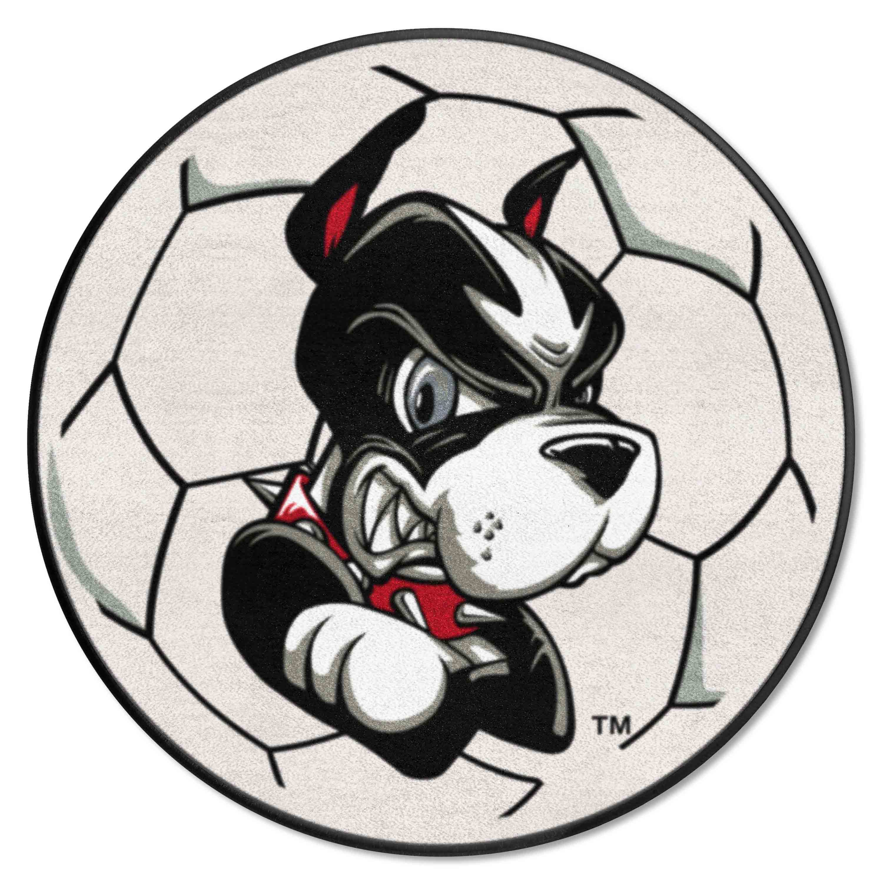 Boston Terriers Soccer Ball Rug - 27in. Diameter