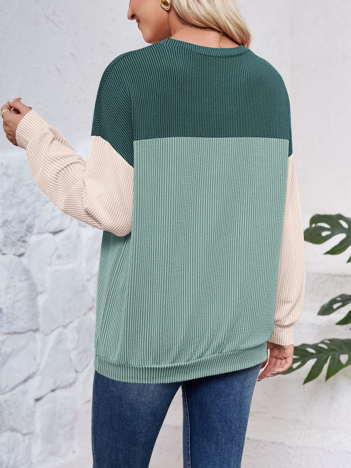 Color Block Round Neck Long Sleeve Sweatshirt - Trendsi