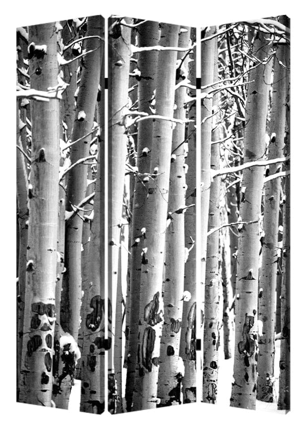 48" X 72" Gray And White Wood Canvas Birch  Screen - Homeroots