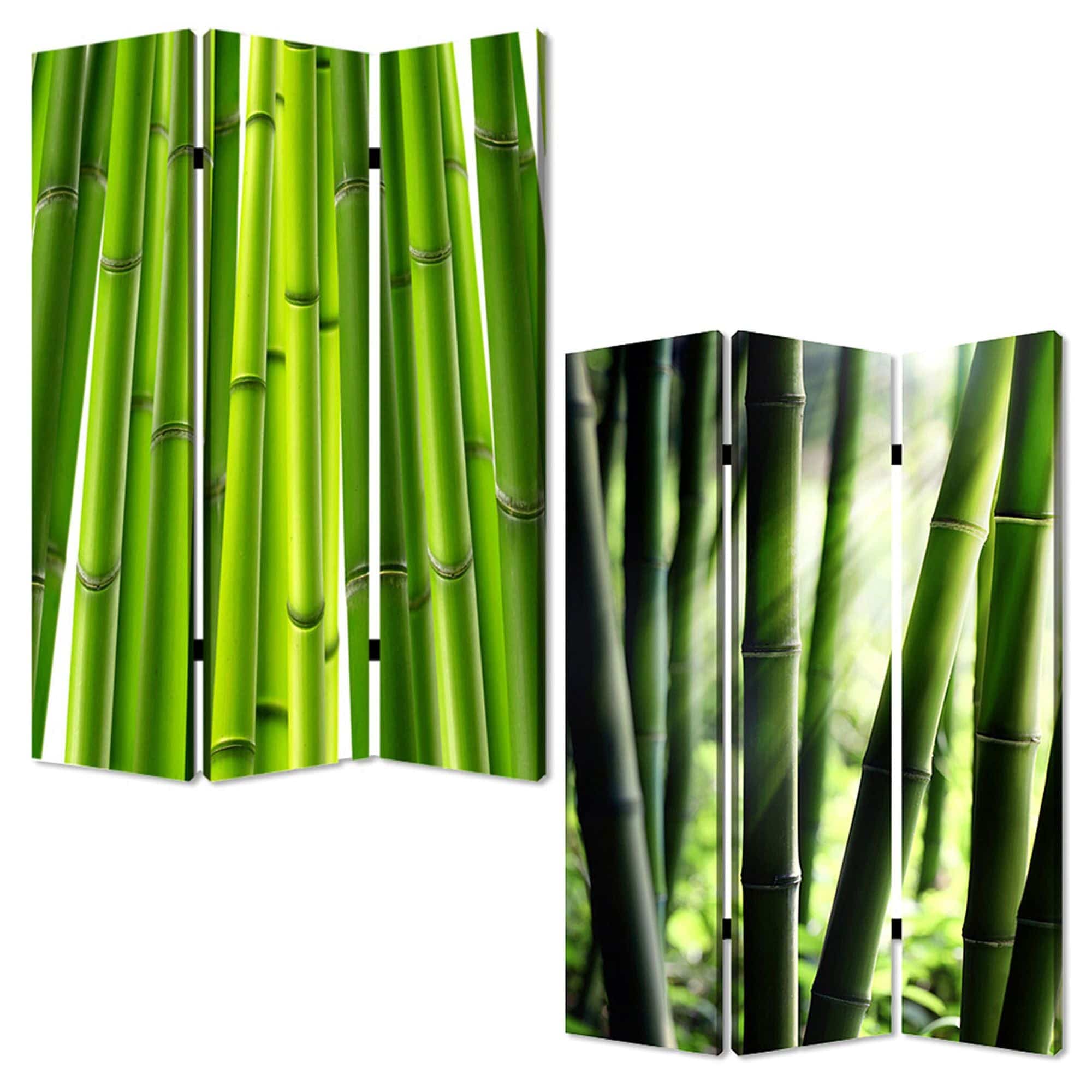 48" X 72" Multi Color Wood Canvas Bamboo  Screen - Homeroots