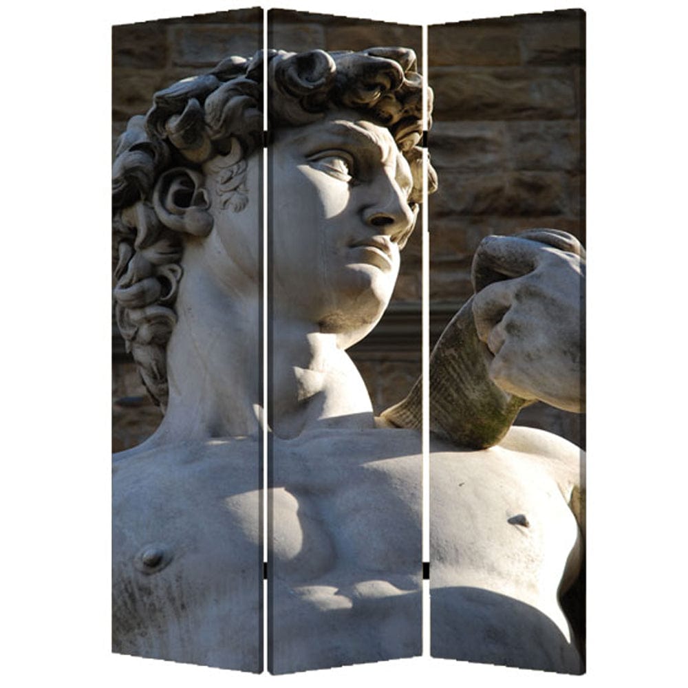 48" X 72" Multi Color Wood Canvas Rome  Screen - Homeroots