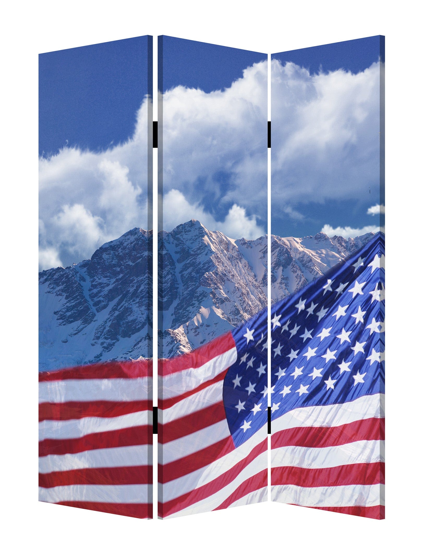 48 X 72 Multi Color Wood Canvas Model American Flag  Screen - Homeroots