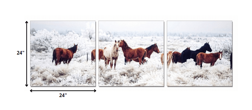 24" Multicolor Canvas 3 Horizontal Panels Horses Photo