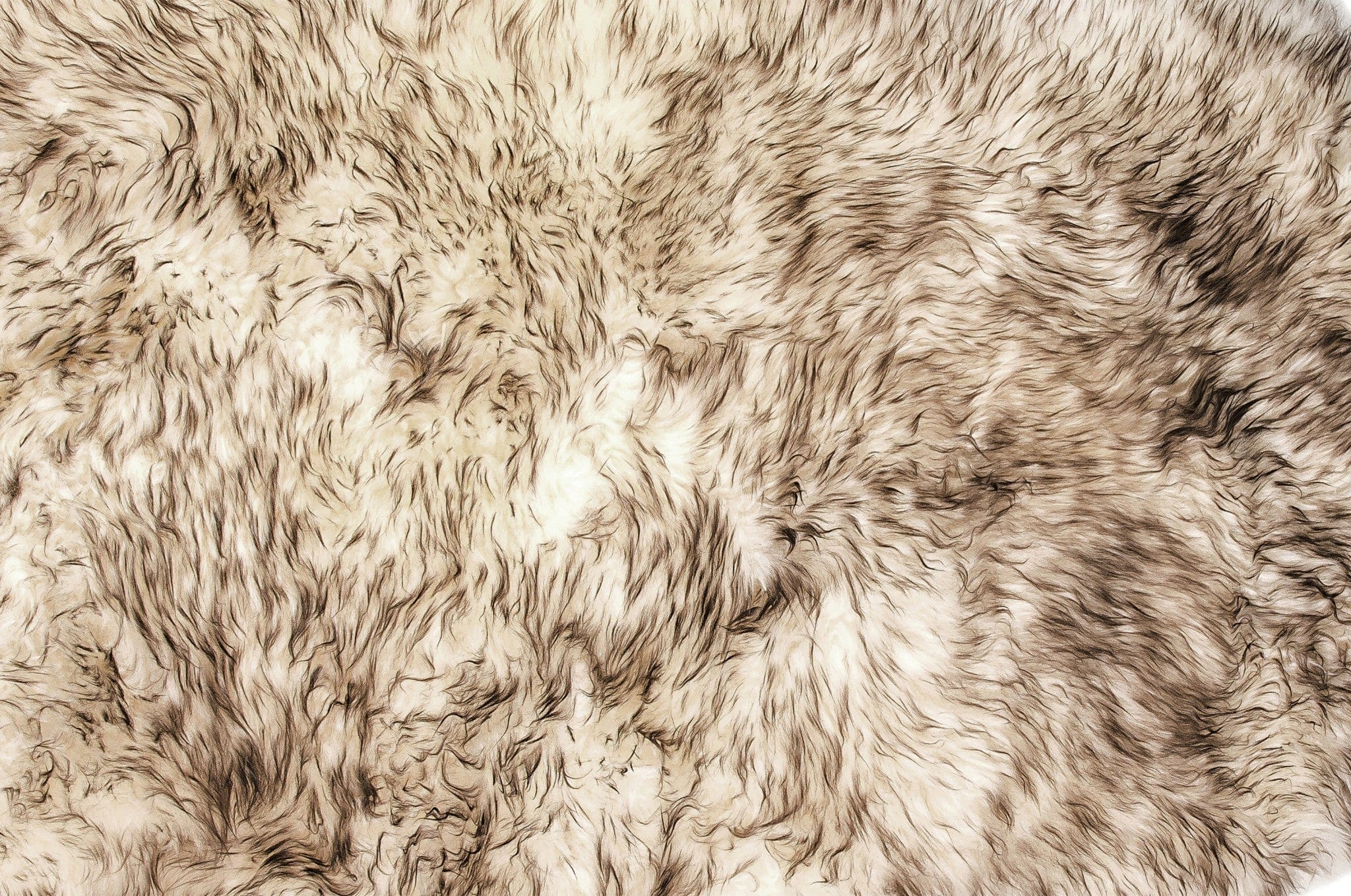 Gradient Chocolate Animal Print Area Rug - Homeroots