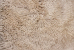 Taupe Animal Print Area Rug