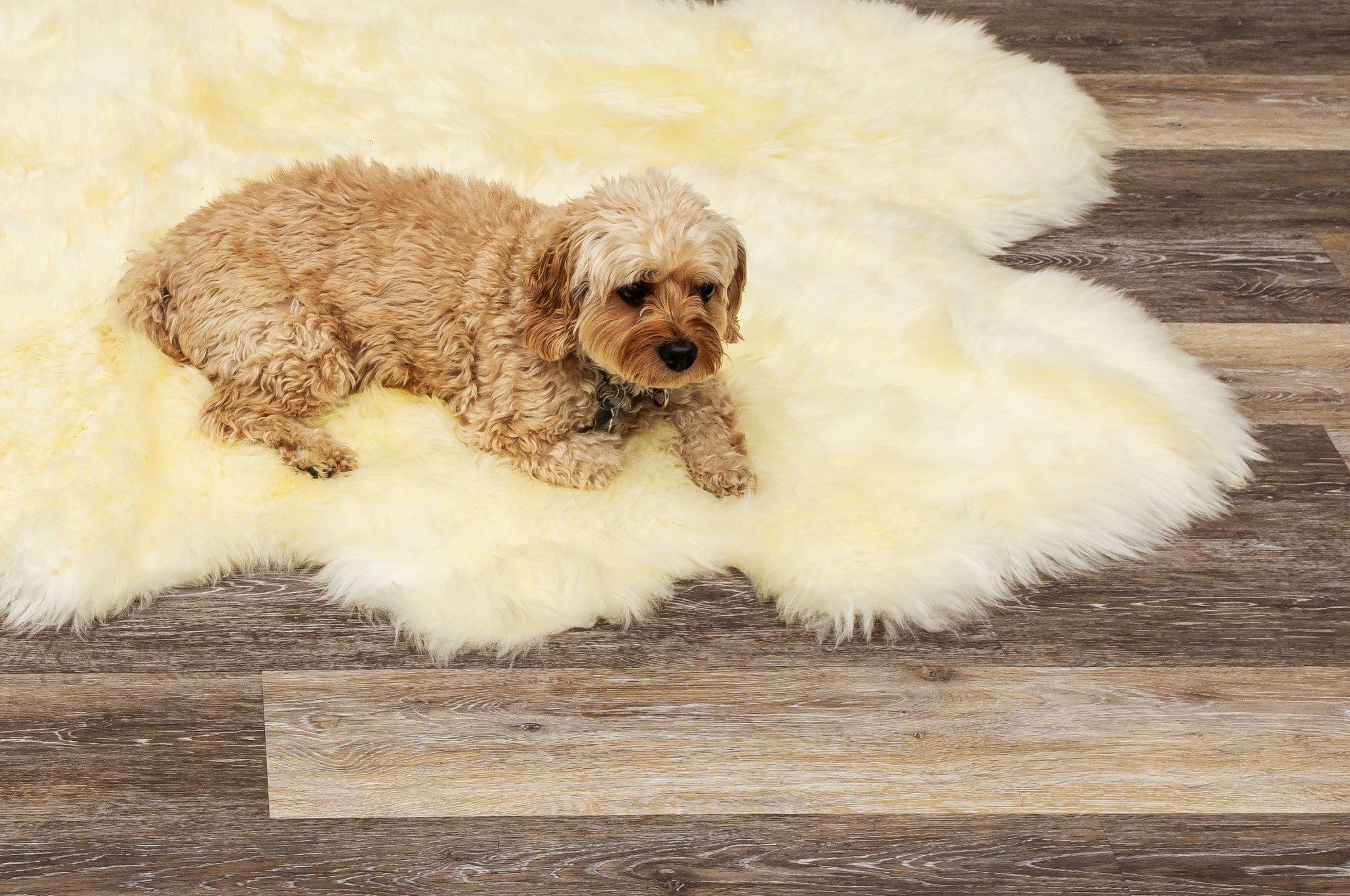 6' X 6' Natural Sheepskin Non Skid Area Rug - Homeroots