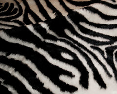 5' X 7' Black and White Faux Cowhide Zebra Print Area Rug - Homeroots