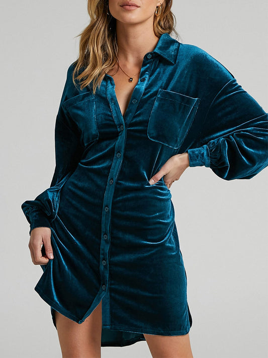 Collared Neck Button Down Long Sleeve Mini Dress - Trendsi