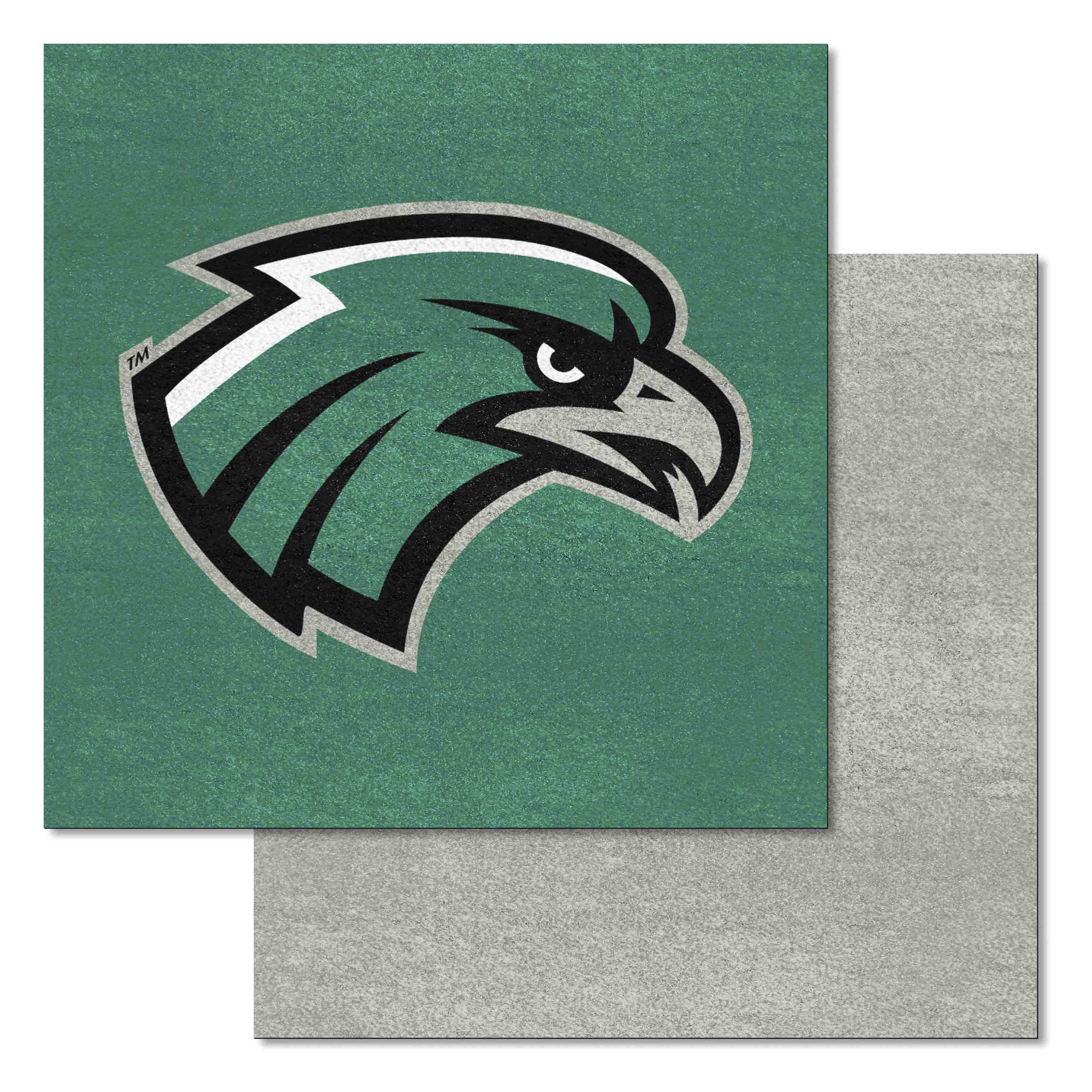 Northeastern State Riverhawks Team Carpet Tiles - 45 Sq Ft.