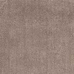 2' X 4' Beige Indoor Shag Rug