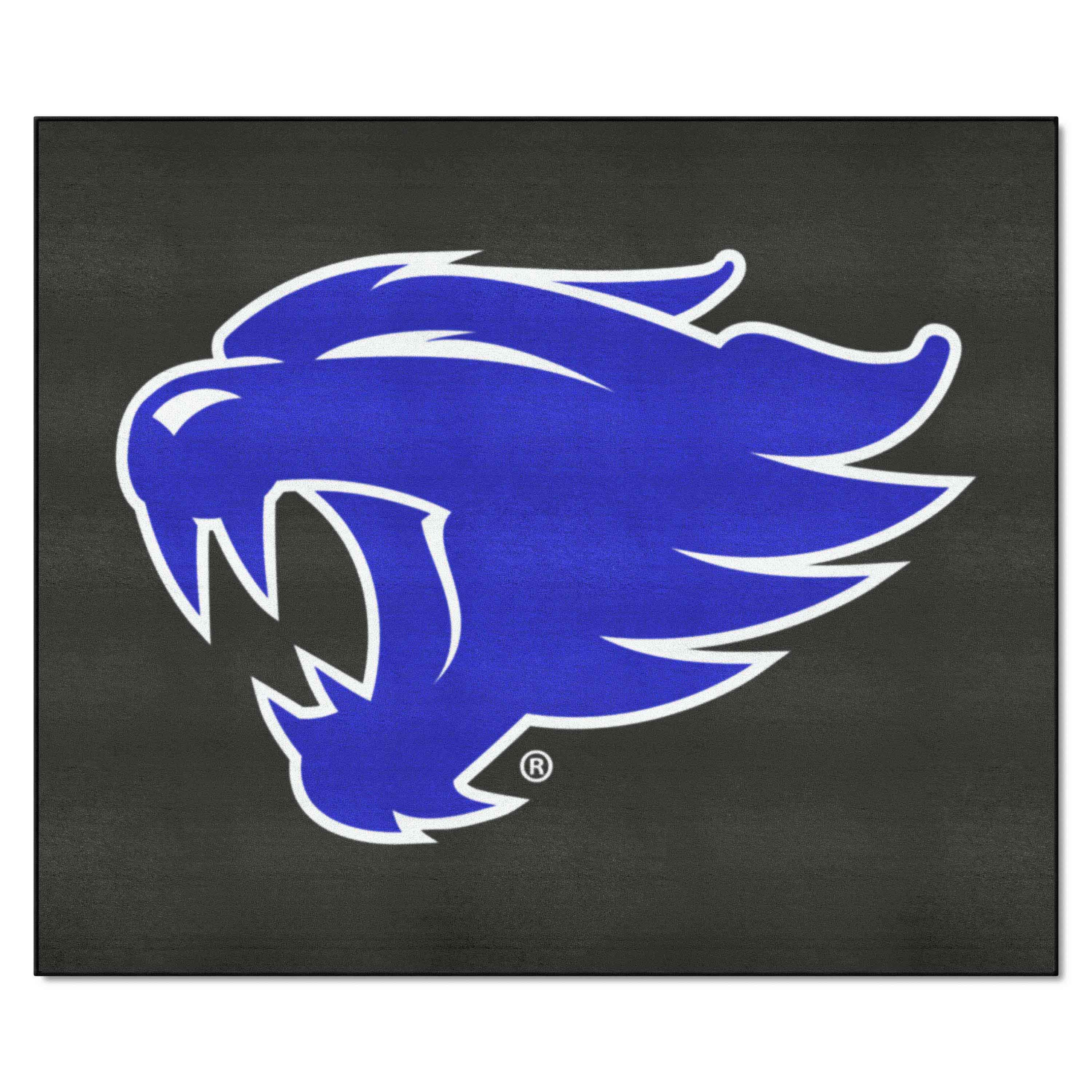 Kentucky Wildcats Tailgater Rug - 5ft. x 6ft.