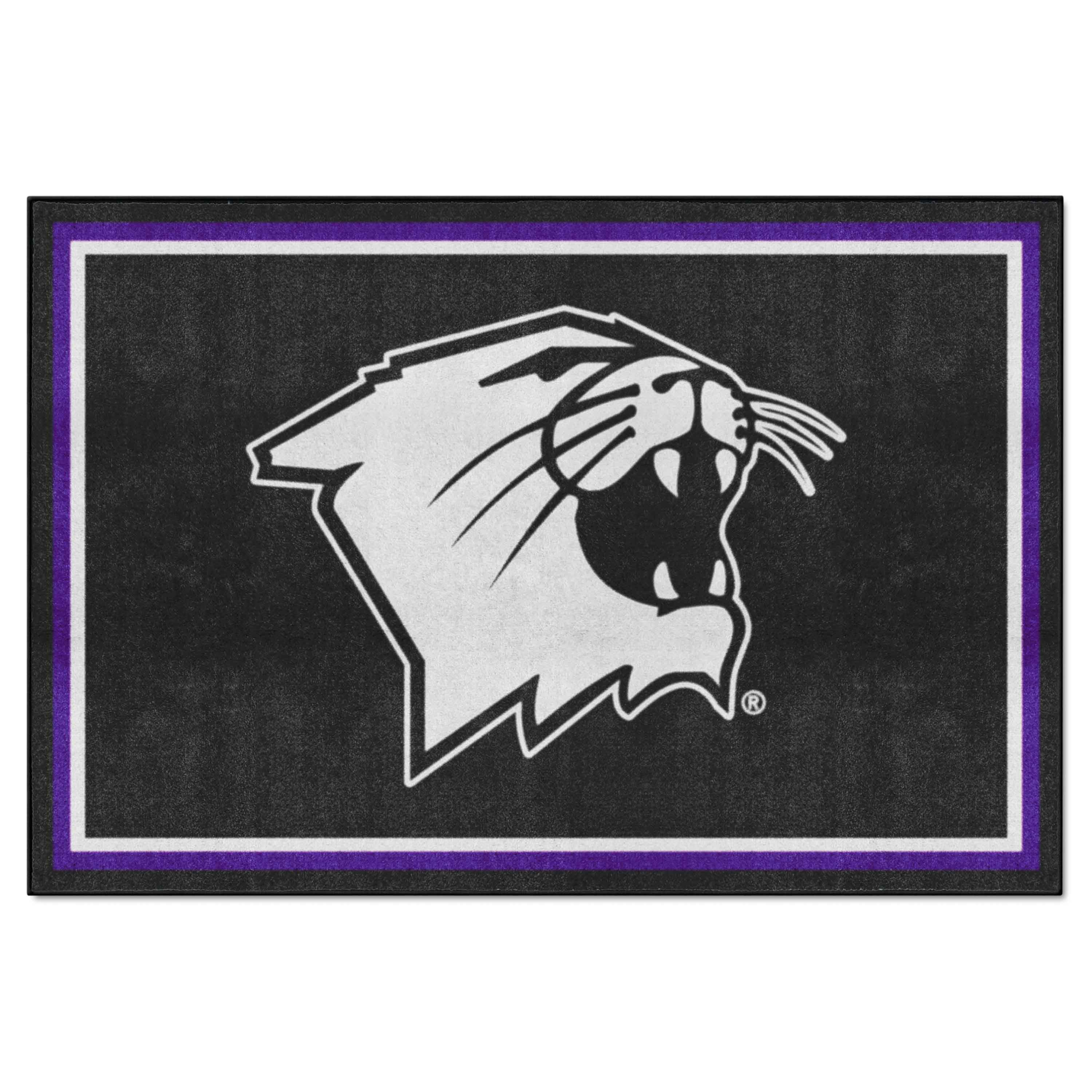 NorthwesternWildcats5ft. x 8 ft. Plush Area Rug