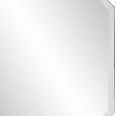 28" Mirror Framed Accent Mirror