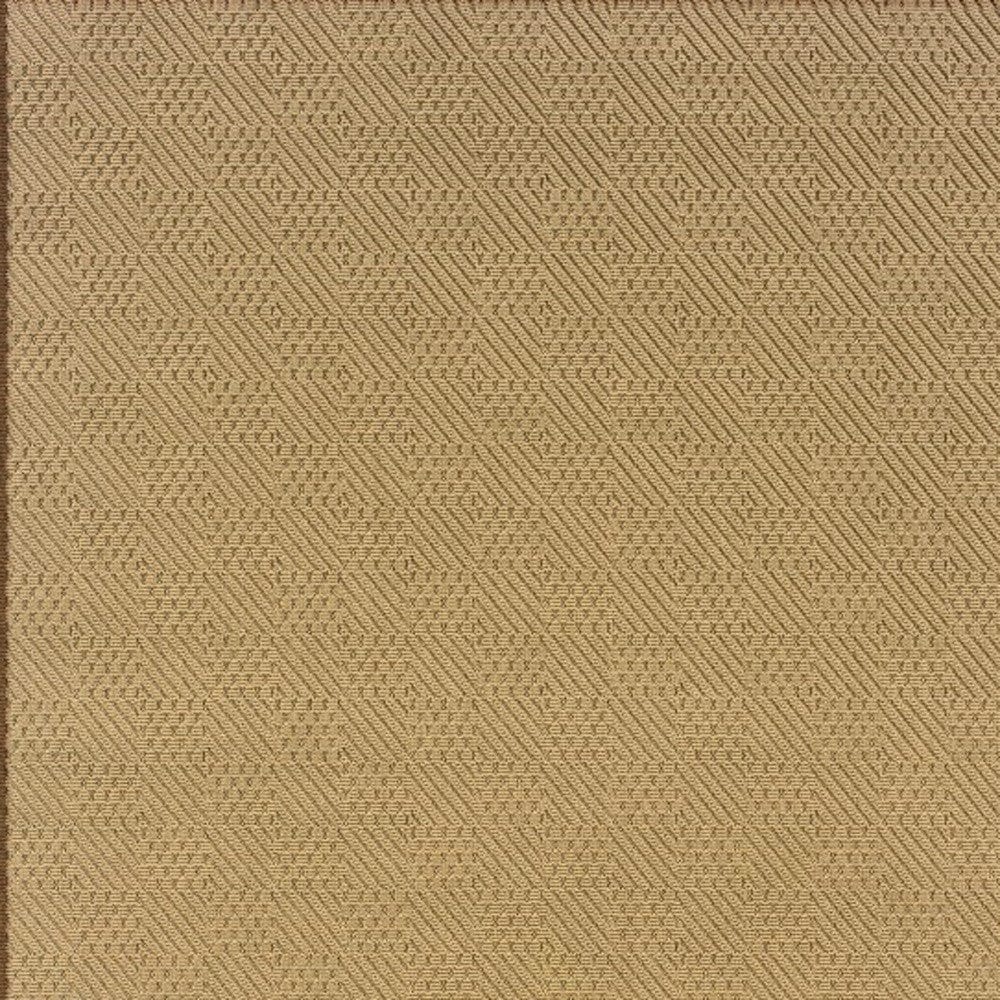 Beige Indoor Outdoor Area Rug