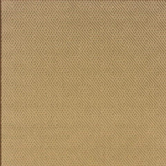 Beige Indoor Outdoor Area Rug