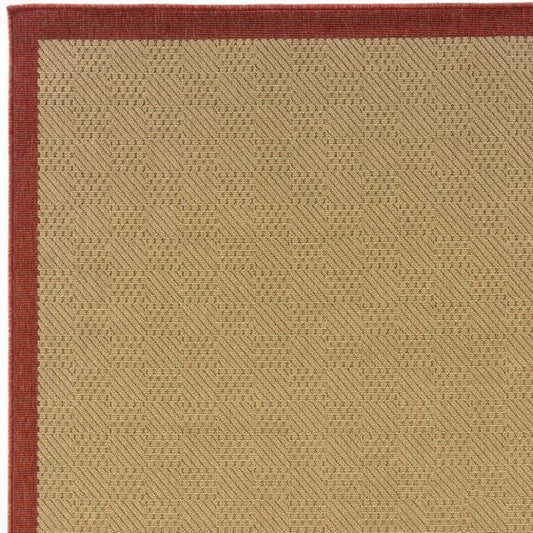 Beige Indoor Outdoor Area Rug