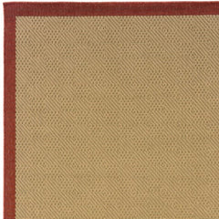 Beige Indoor Outdoor Area Rug