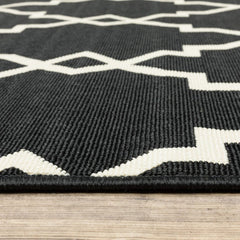 4' X 6' Black and Ivory Indoor Outdoor Area Rug