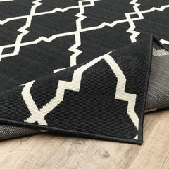 Black and Ivory Indoor Outdoor Area Rug