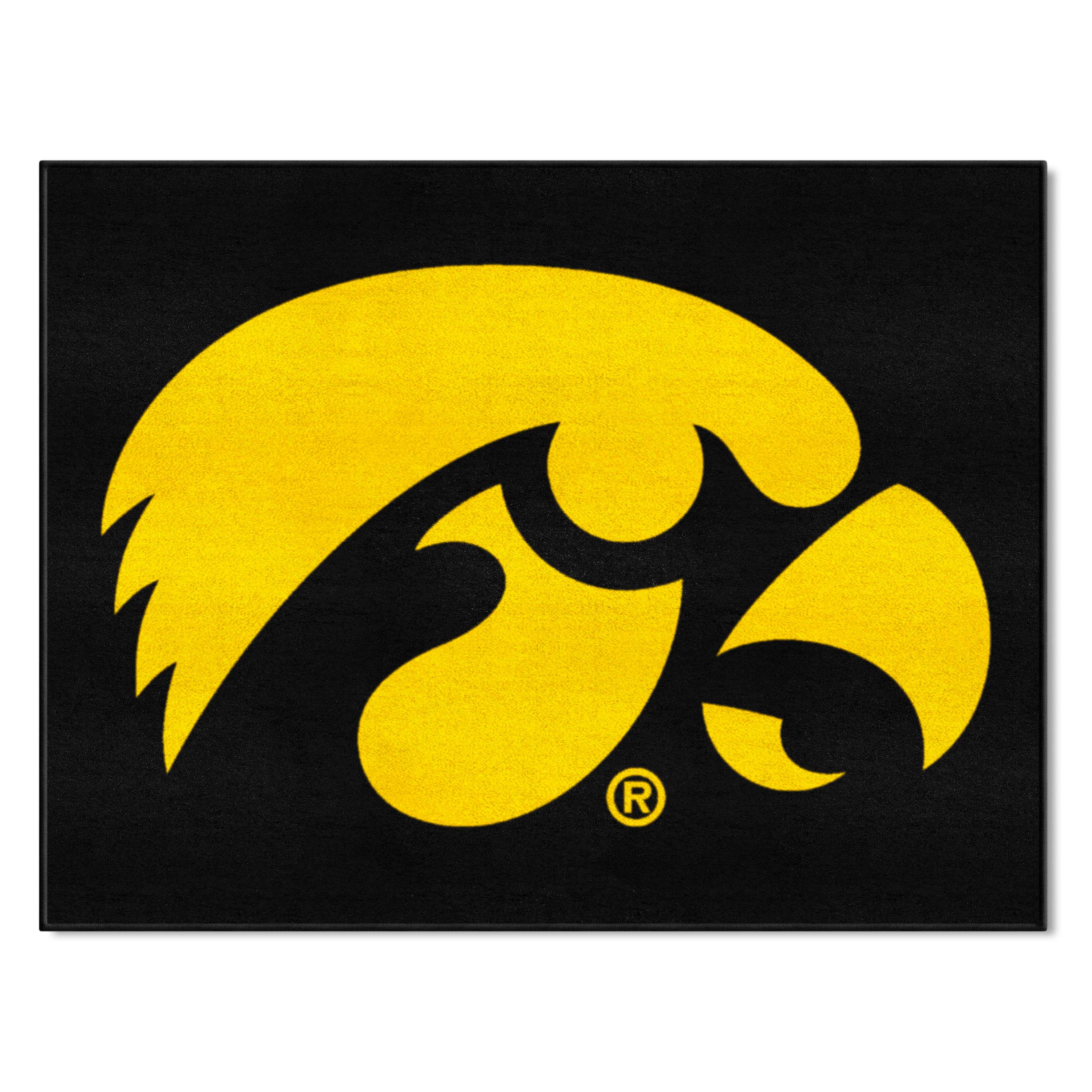 Iowa Hawkeyes All-Star Rug - 34 in. x 42.5 in.