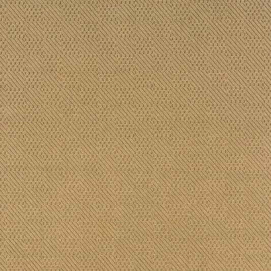 2' X 4' Beige Indoor Outdoor Area Rug