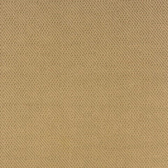 2' X 4' Beige Indoor Outdoor Area Rug