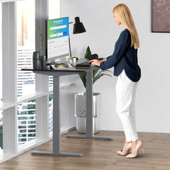 Premier 52" Silver Dual Motor Electric Office Adjustable Standing Desk