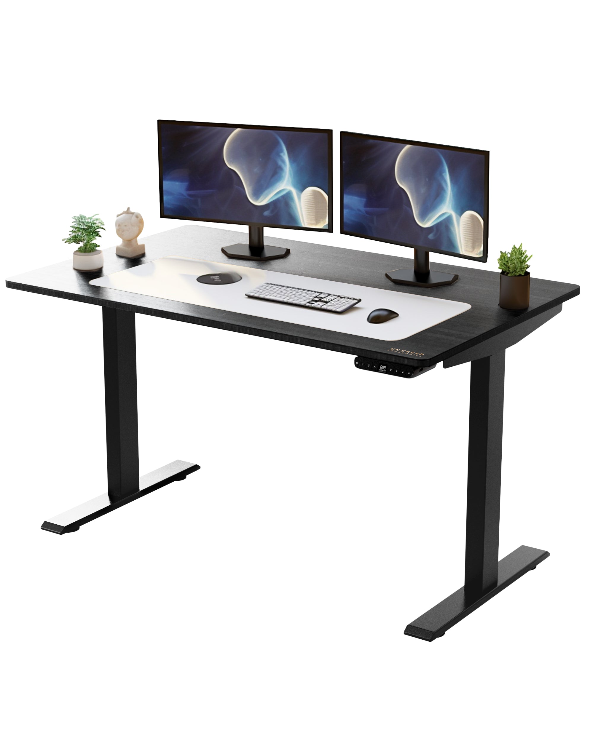 Black on Black Bamboo Dual Motor Electric Office Adjustable Computer Desk