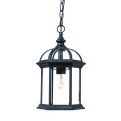 Matte Black Cage Hanging Light