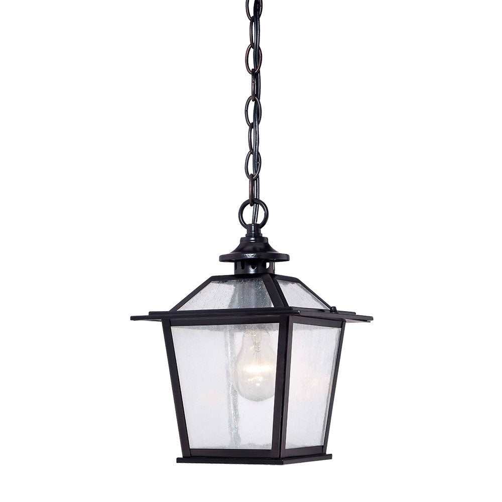 Matte Black Terrarium Shape Hanging Light