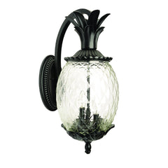 Matte Black Hanging Pineapple Wall Light