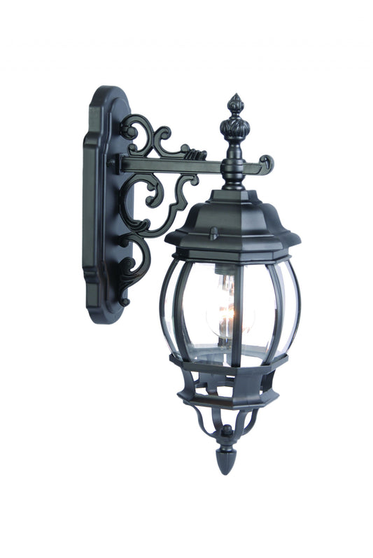 Matte Black Hanging Glass Globe Wall Light