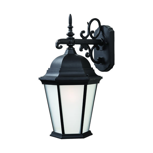 Matte Black Domed Hanging Lantern Wall Light