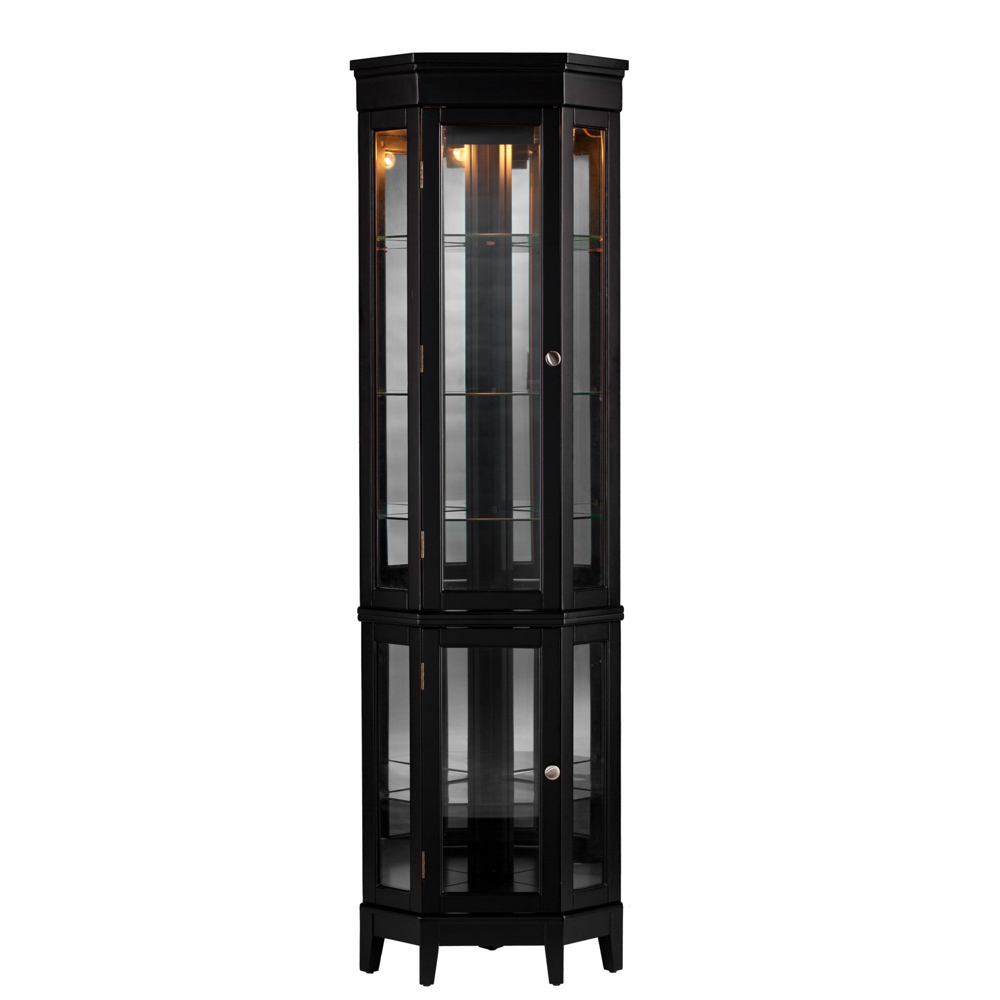 Elegant Black Lighted Curio Cabinet