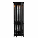 Elegant Black Lighted Curio Cabinet