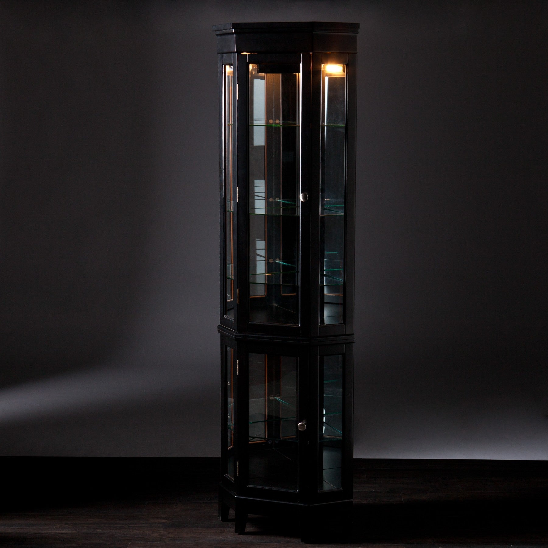 Elegant Black Lighted Curio Cabinet