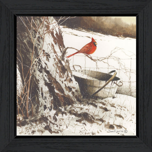 Country Cardinal Black Framed Print Wall Art