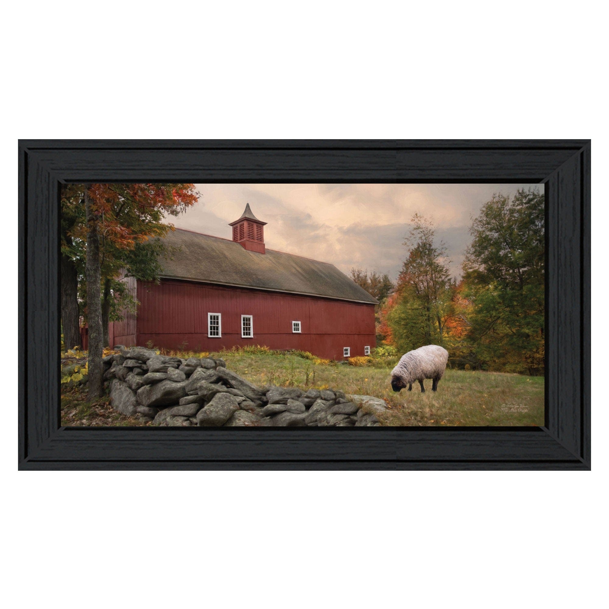 The Lone Gazer Black Framed Print Wall Art - Homeroots