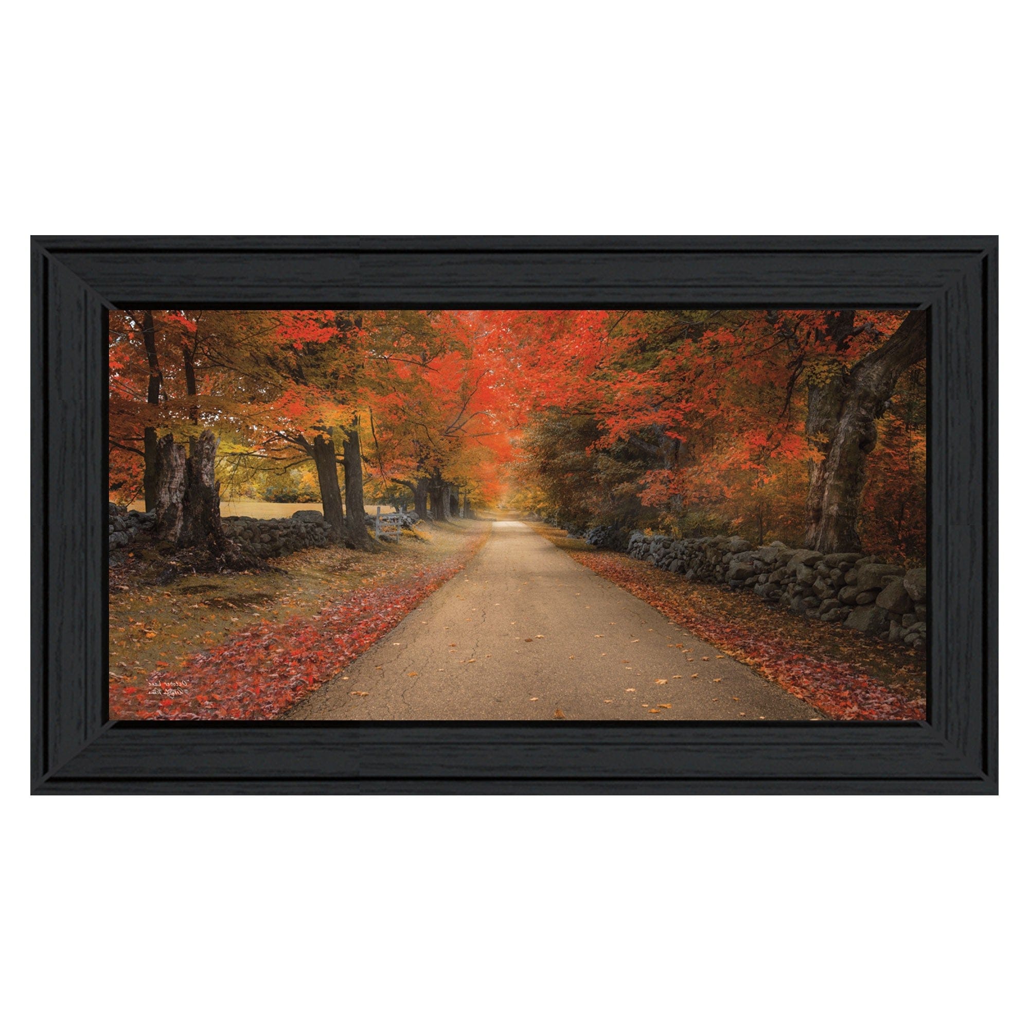 October Lane Black Framed Print Wall Art - Homeroots