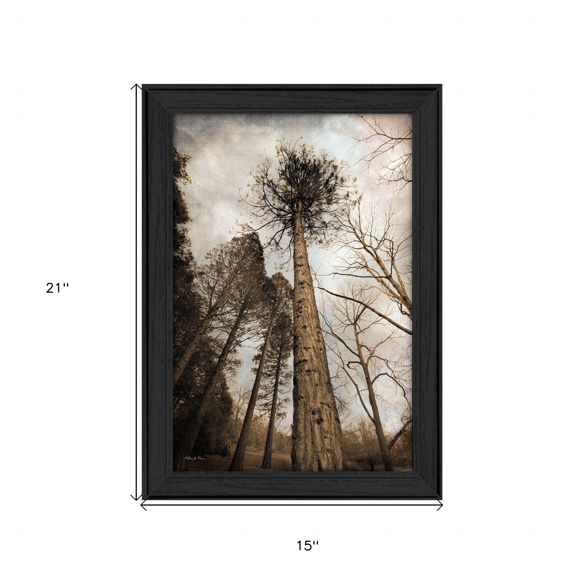 Skys the Limit Black Framed Print Wall Art